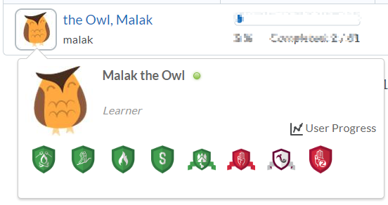 WBI_-_OWL_progress_badges.png