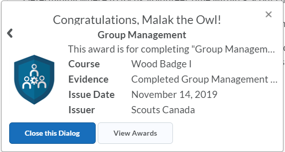 WBI_for_GCom_Award_Pop-up.png