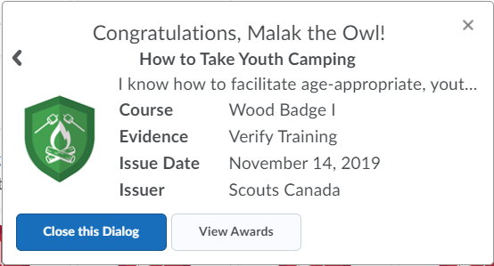 WBI_-_Award_pop-up_session.png