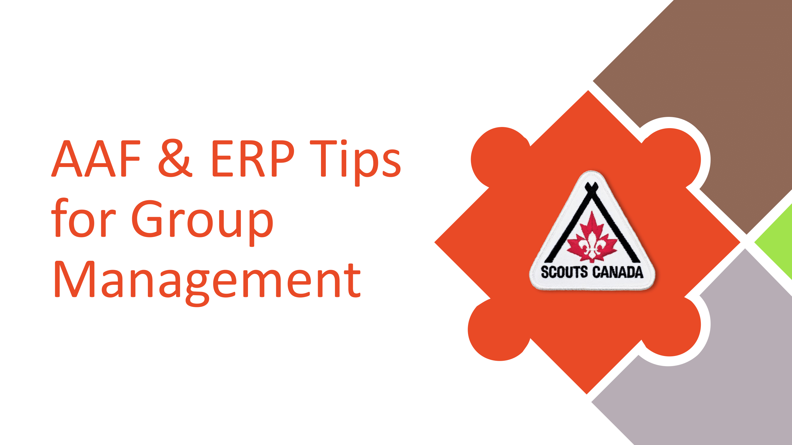 AAF.ERP for Group Management-01.png